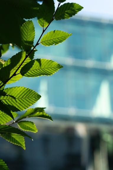 materials-innovation-for-sustainable-portfolios materials-innovation-for-sustainable-portfolios